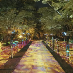 20220511 eikando3 0-15 screenshot