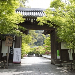 _CCC0983