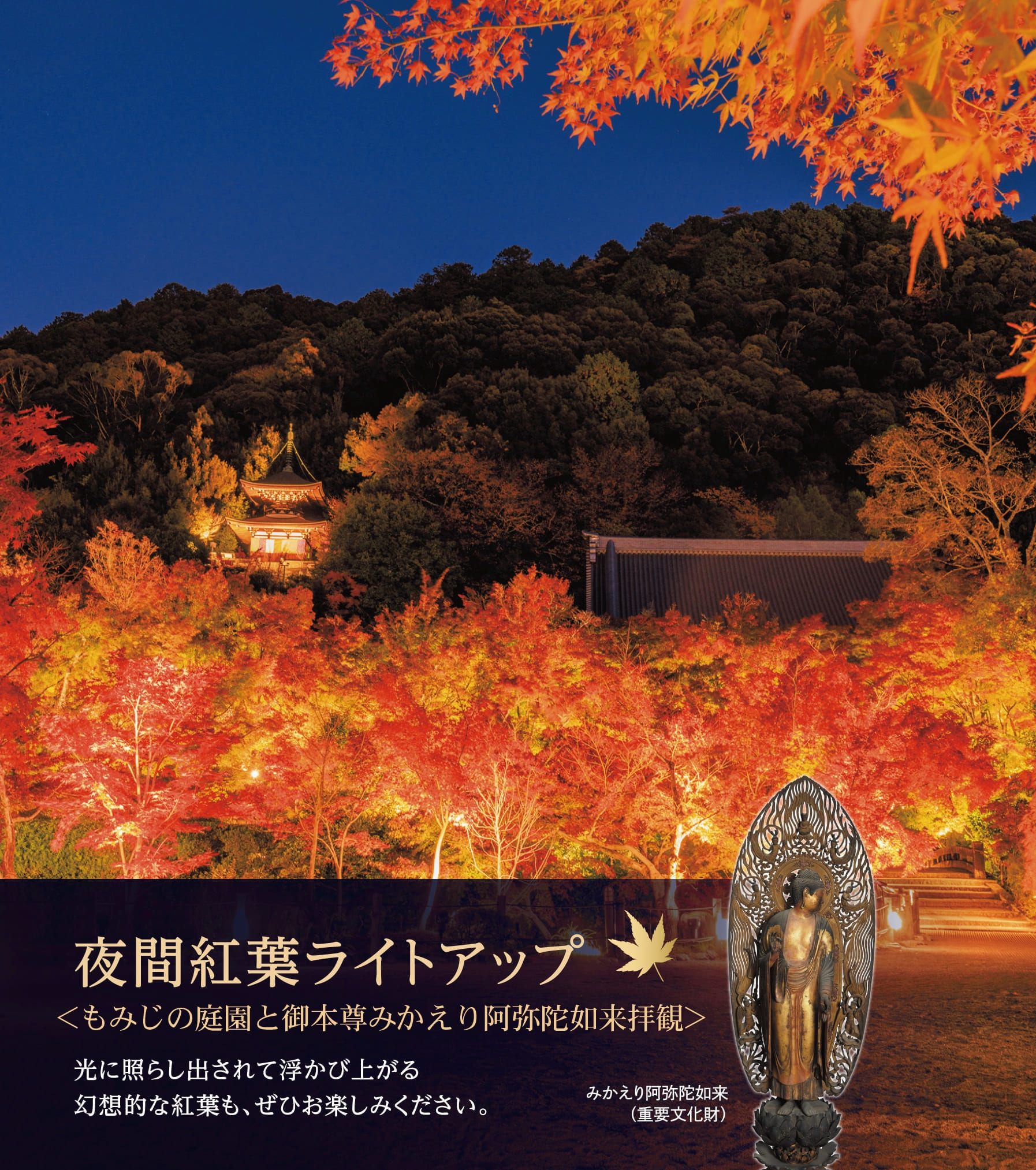 夜の永観堂eikanndou