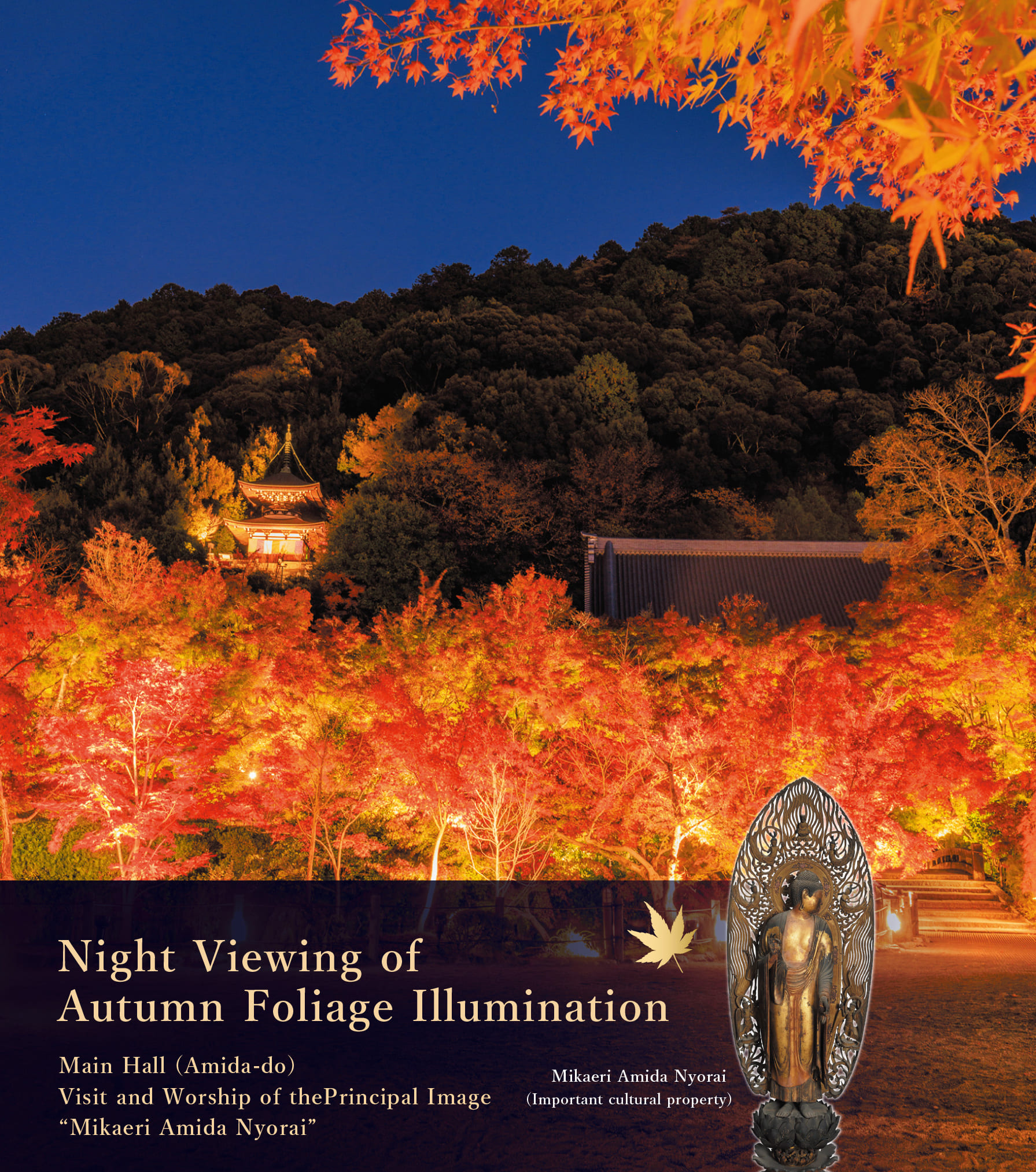 Night Viewing of Autumen Foliage Illumination